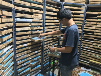 Customer choice easy in our stock
